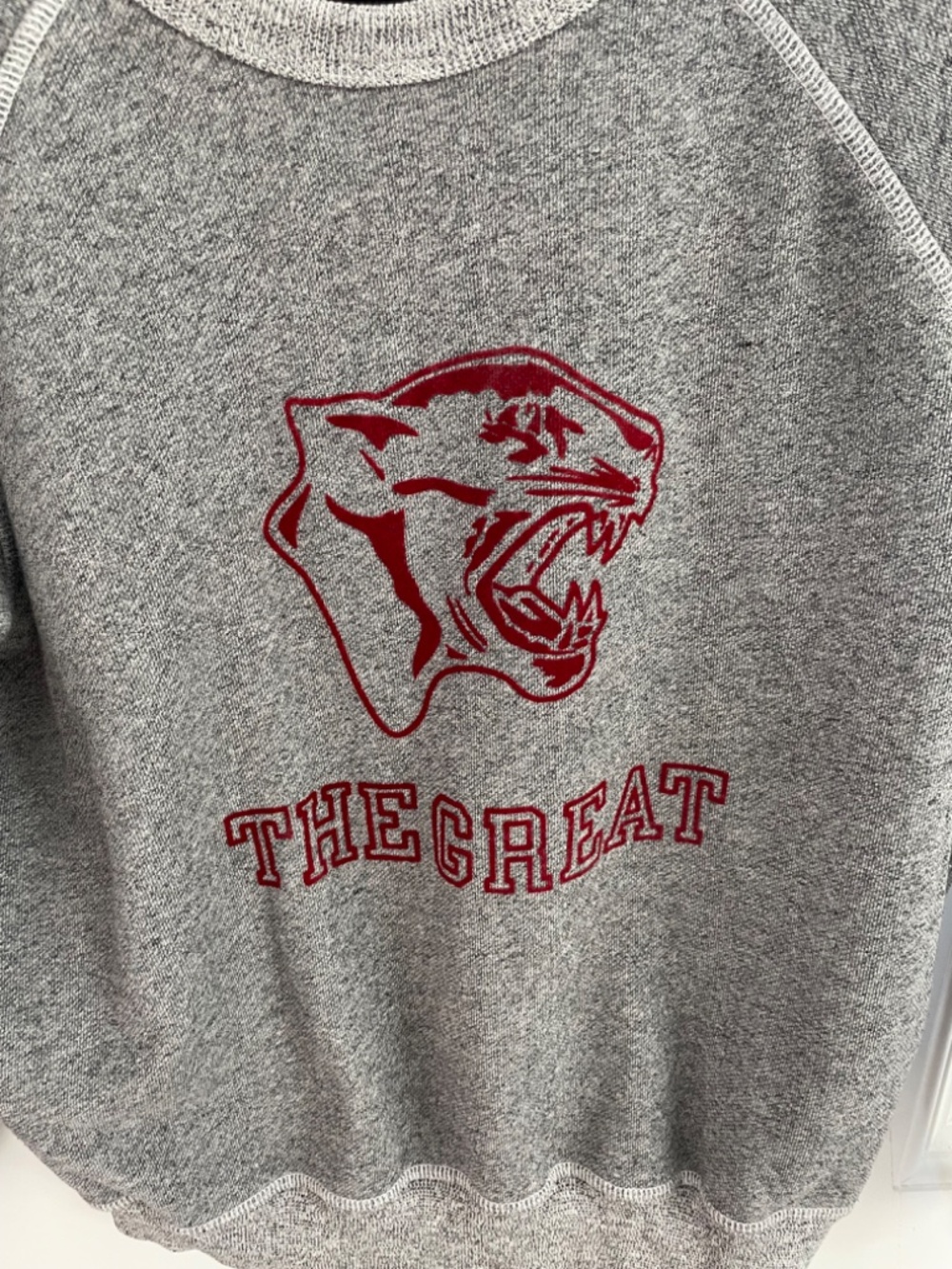 THE GREAT. COLLEGE SWEATSHIRT WITH JAGUAR GRAPHIC SIZE 0! - Picture 5 of 7